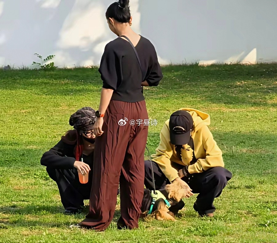 王菲估计没有机会抱上窦靖童的孩子了。现在窦靖童和宋妍霏已经不遮遮掩掩了，俩人一起出门，蹲在草地上遛狗