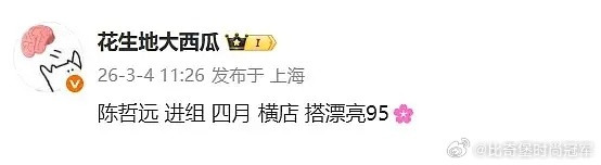 说的应该就是陈哲远和王楚然了