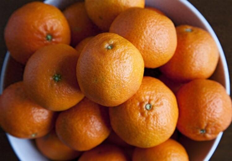 橘子立大功？中科院研究：吃柑橘或能降低血栓风险，保护血管柑橘类水果是秋冬季节