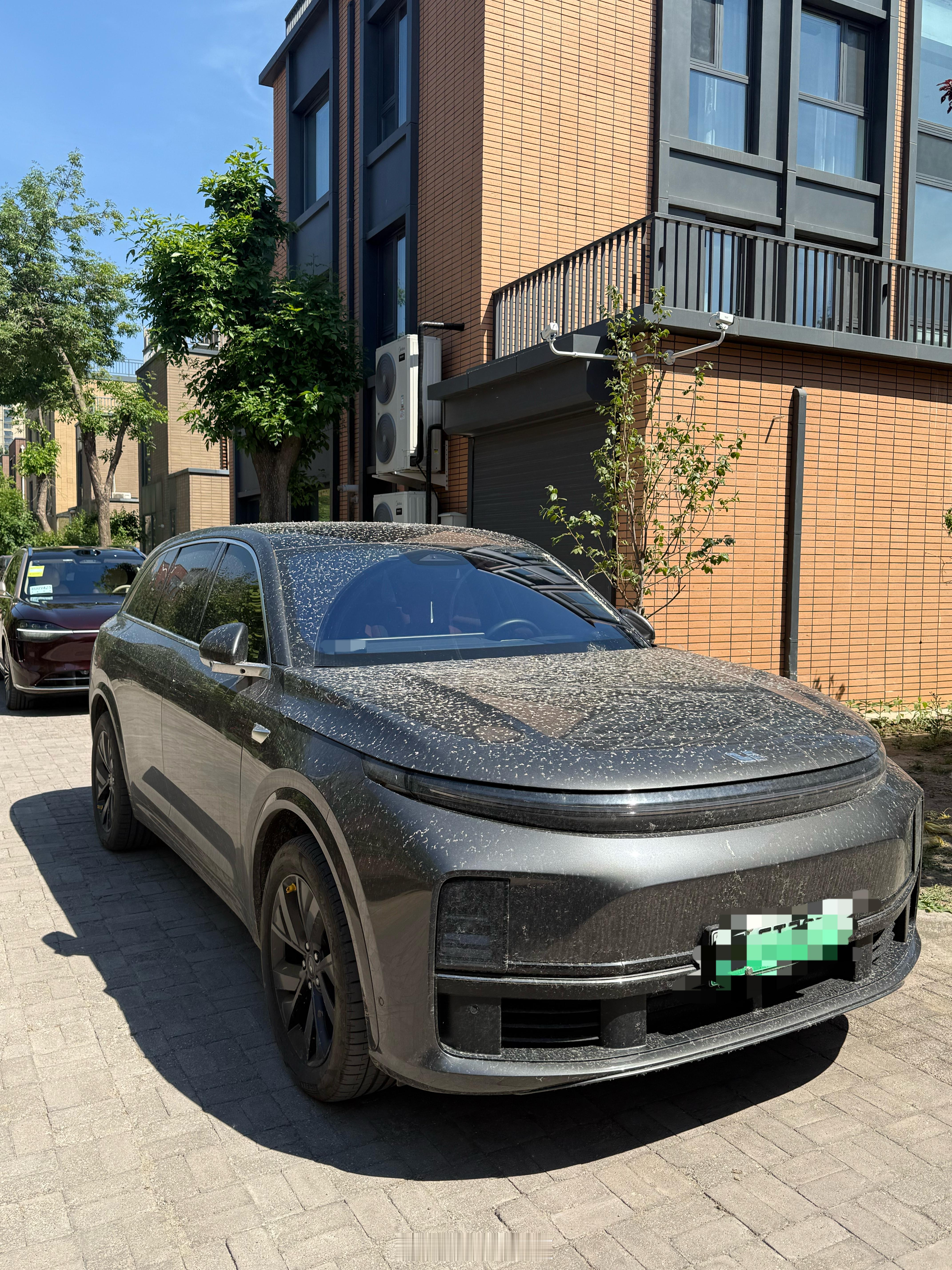 北京这柳絮+小雨我刚来公司以为谁给鸟喂健胃消食片了呢，窜一车.....​​​