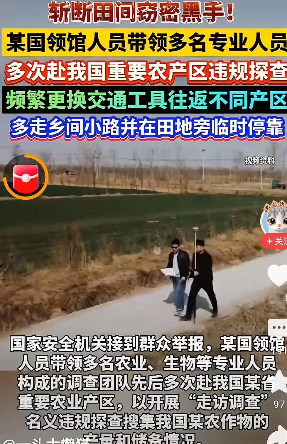 境外间谍这回直接对着农田下手了。他们盯上的是亲本种子，就是那种第一代用于杂交