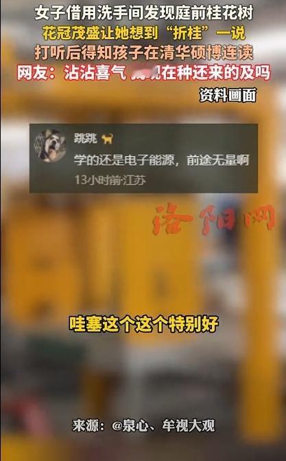 女子借洗手间偶遇“天价桂树”，随口一问惊掉下巴：原来“蟾宫折桂”从不是传说