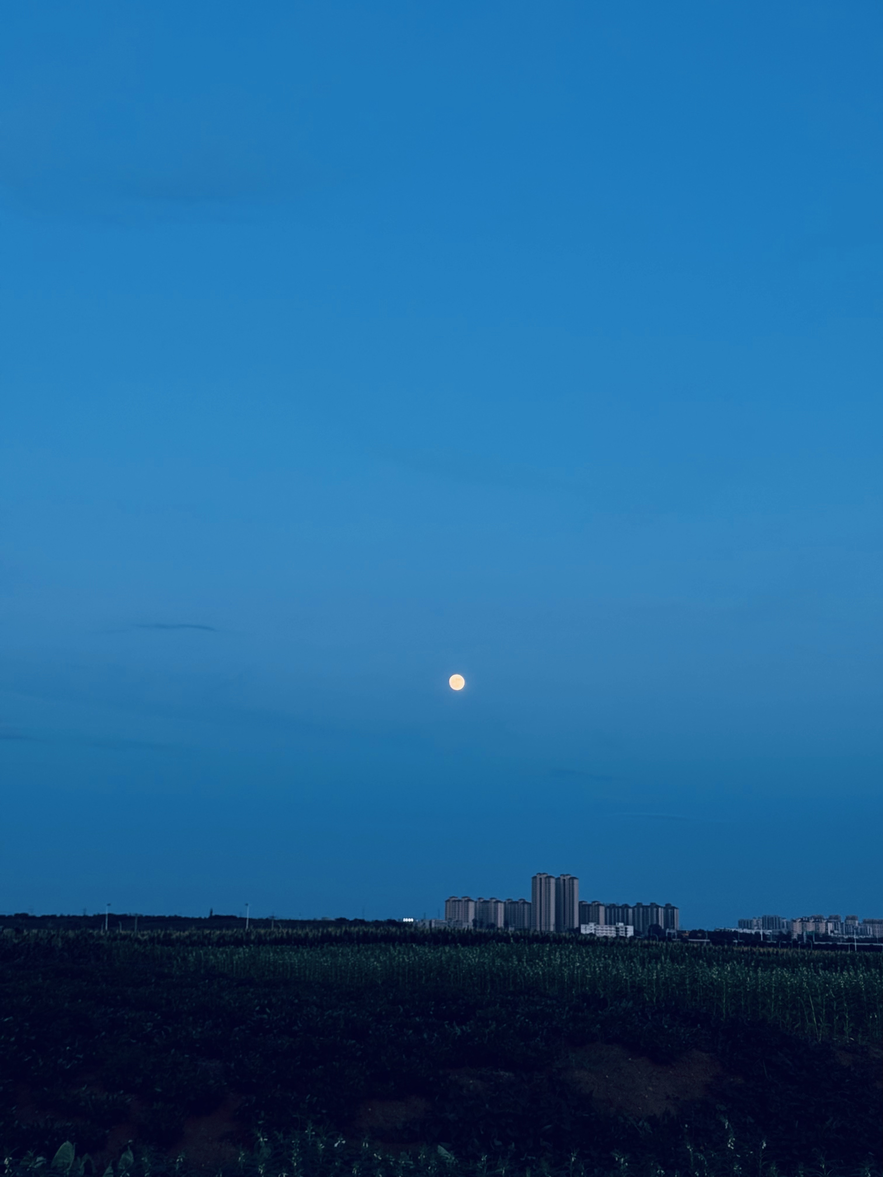 2025年7月10日幸运星座前三名