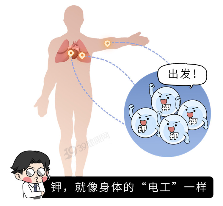 【人好端端的怎么会缺钾？】经常呕吐腹泻的人是缺钾高危人群身体缺钾的五个信号钾是