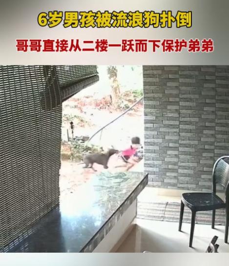 网上流传着一个视频，一条流浪狗在撕咬一个穿着红衣服的小孩，这个小孩努力挣扎，却无