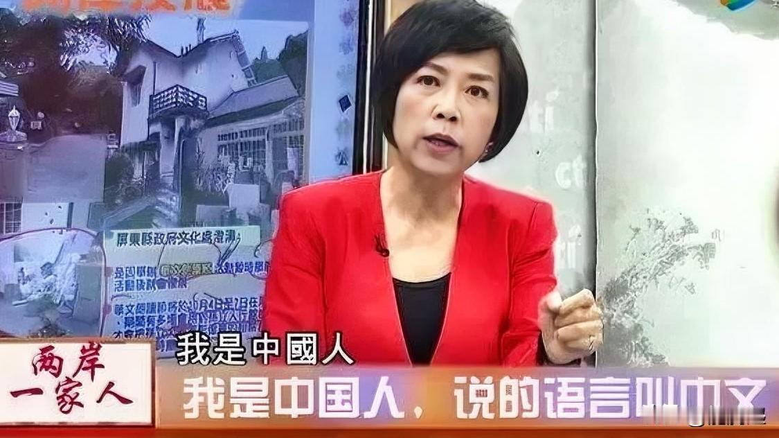 翁晓玲称“我是中国人”黄智贤：“让中国人蒙羞”？国民党民代翁晓玲在台湾立法
