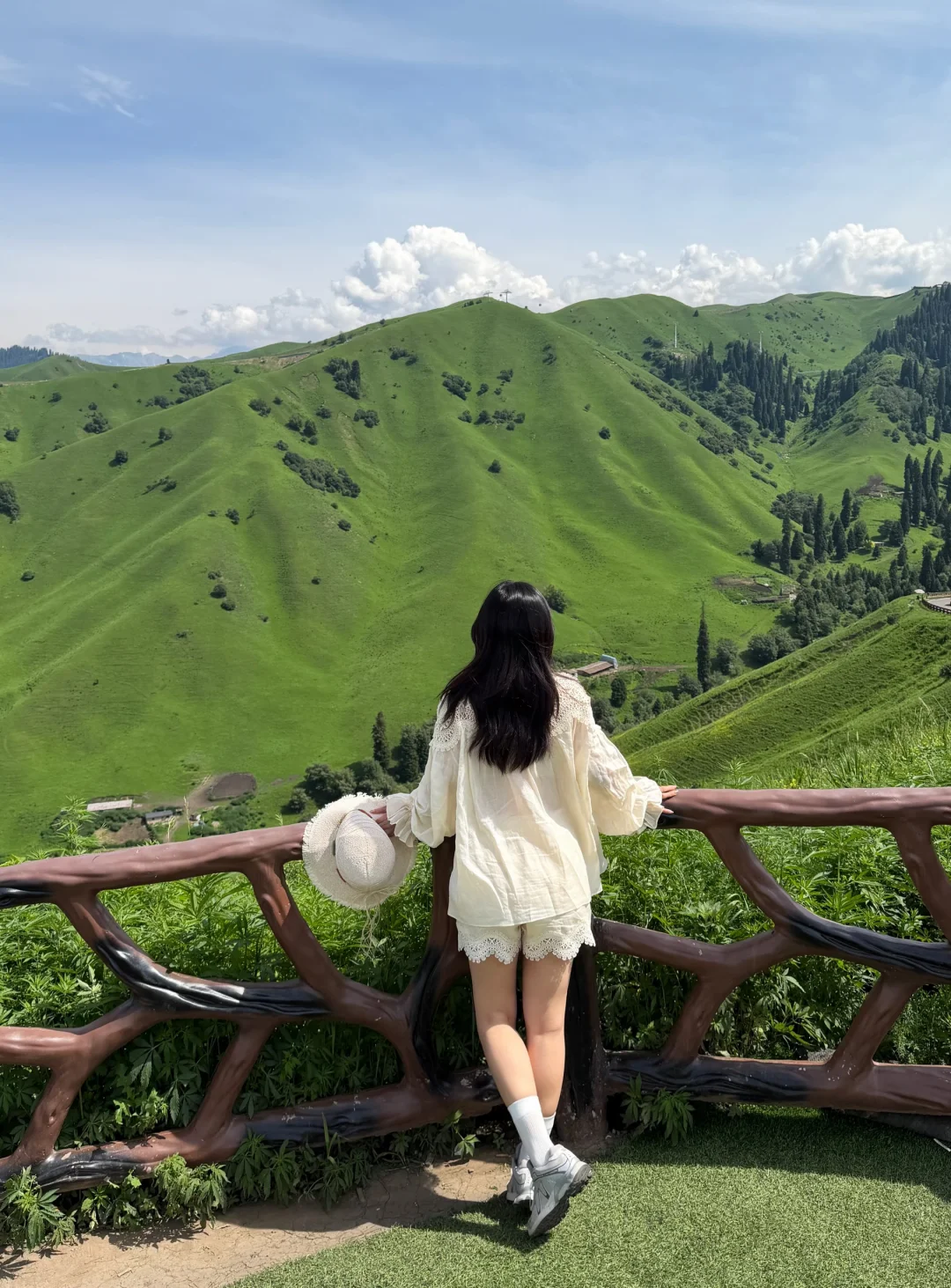 草原上的夏天