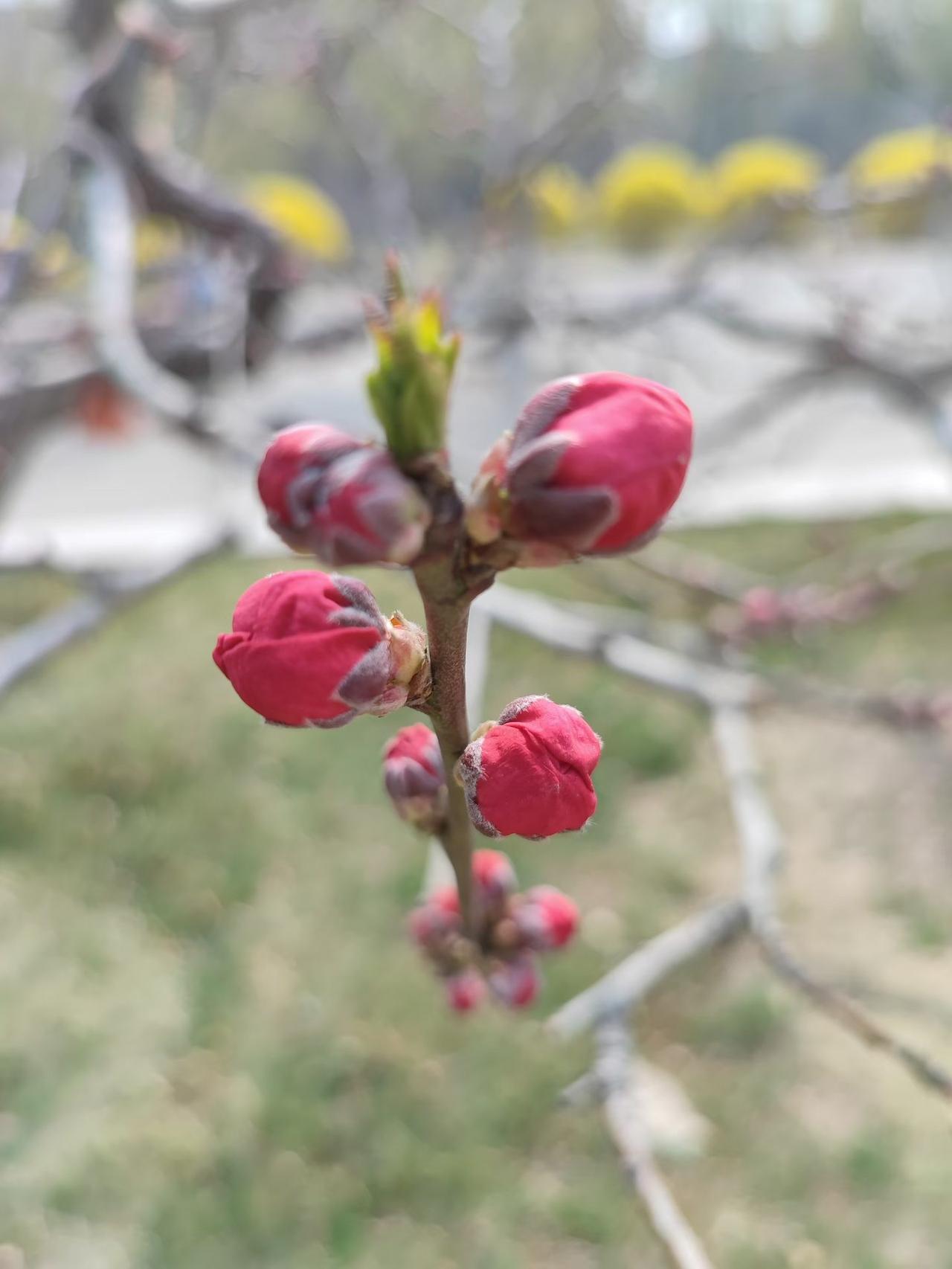 退休后的这份心情有谁能懂啊？退休之前我天天盼着退休，总觉得退休了以后不用上班
