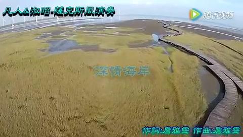深情海岸二重奏简谱_二重奏简谱