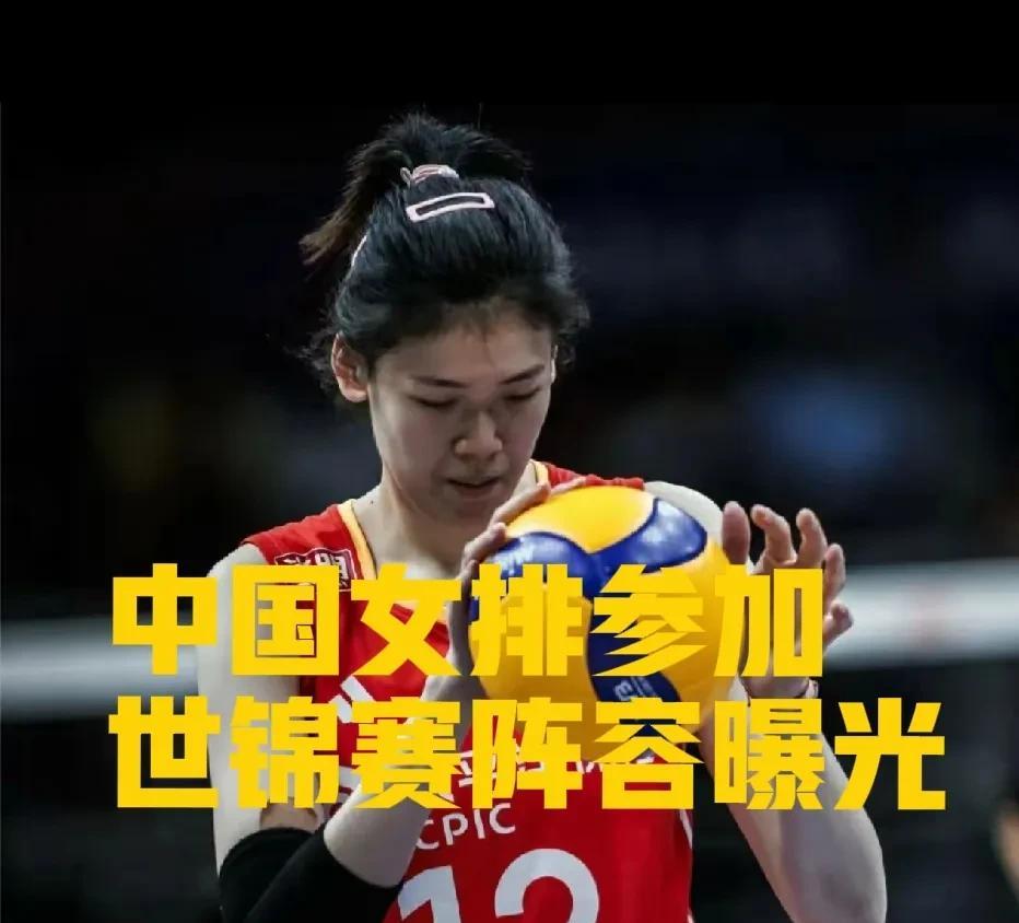李盈莹复出[鼓掌][鼓掌][鼓掌]，中国女排参加世锦赛主力阵容曝光：李盈莹领衔