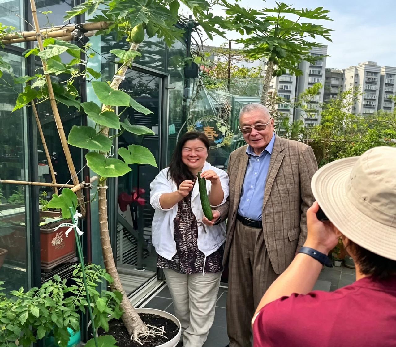 去朋友家串门，刘诗昆和小娇妻在露台摘了根黄瓜。孙颖举着瓜笑得合不拢嘴，老爷子穿西