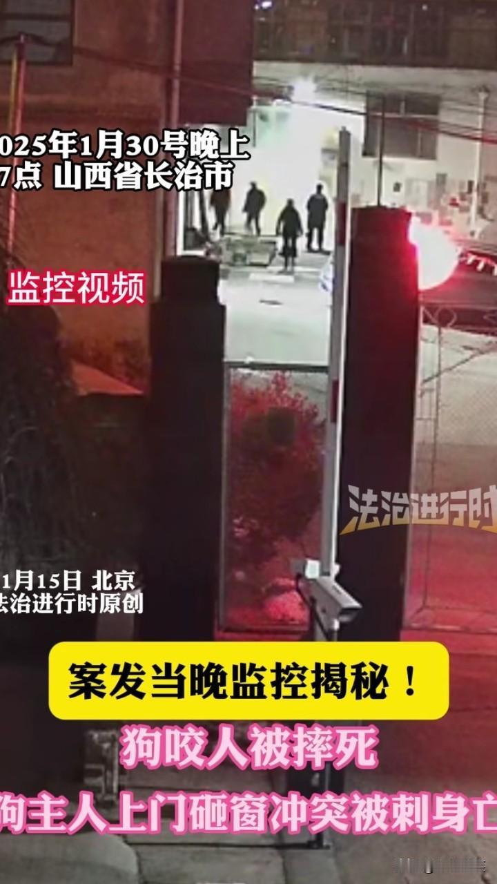 郭女士这下无话可说了吧！还说自己的哥哥“只是砸了一下玻璃”，实际上有4个人拿石块