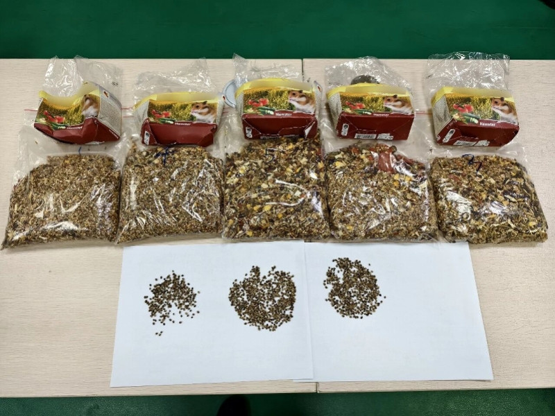 #仓鼠粮藏500多粒大麻种子#【仓鼠粮里竟藏500多粒大麻种子，被广州海关查获