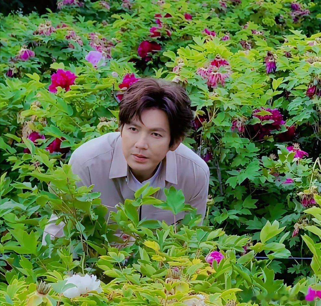 钟汉良现身河南看牡丹花，他真的好帅，人比花娇！他现在51岁了，居然还有种少年气，