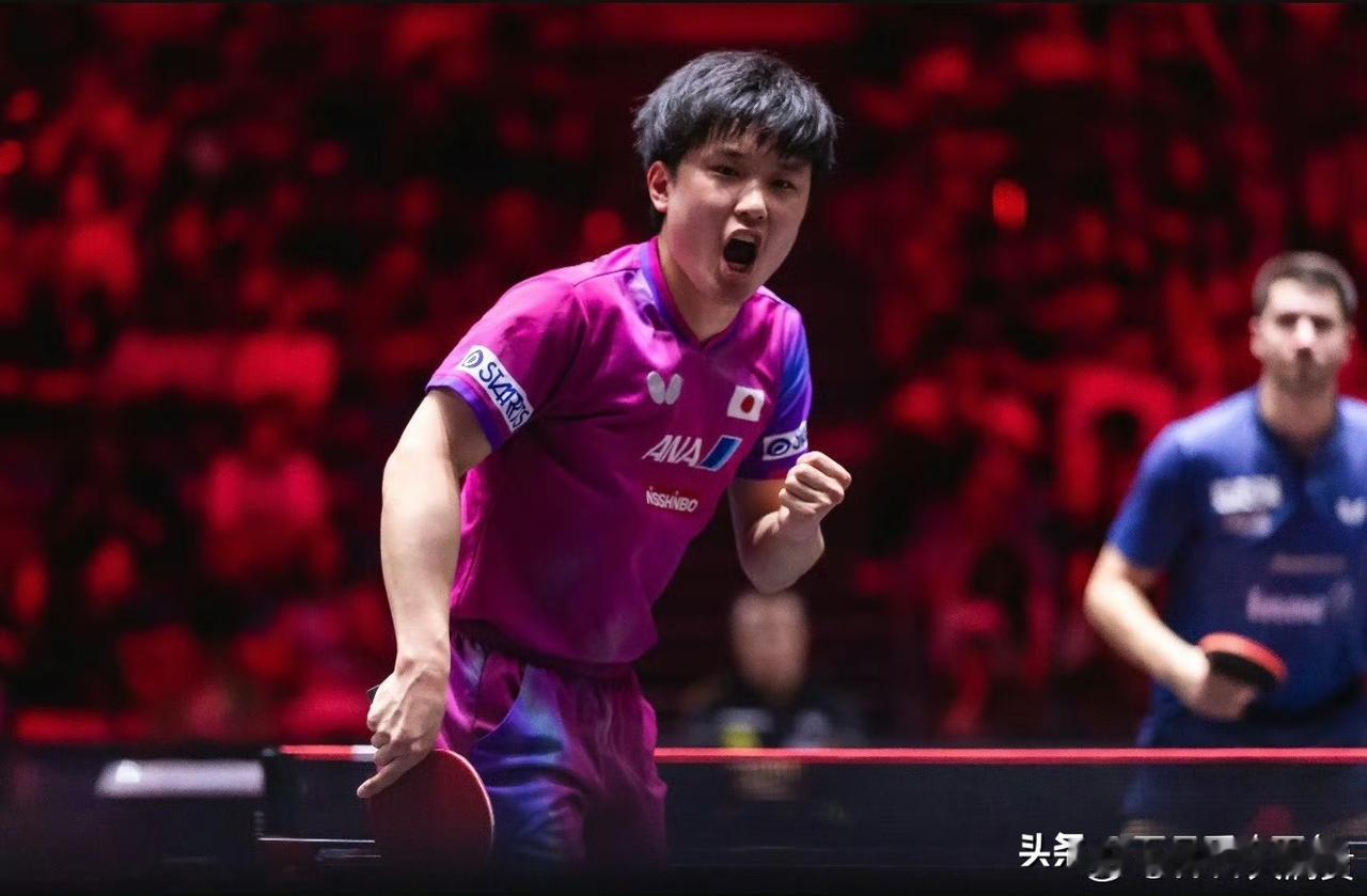 目前世二之争，又退出一位选手，张本智和暂时解除上升风险。下一个风险较大的人是莫