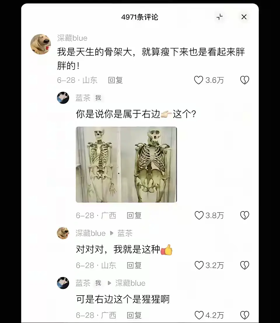 小仙女天生骨架大，笑麻了