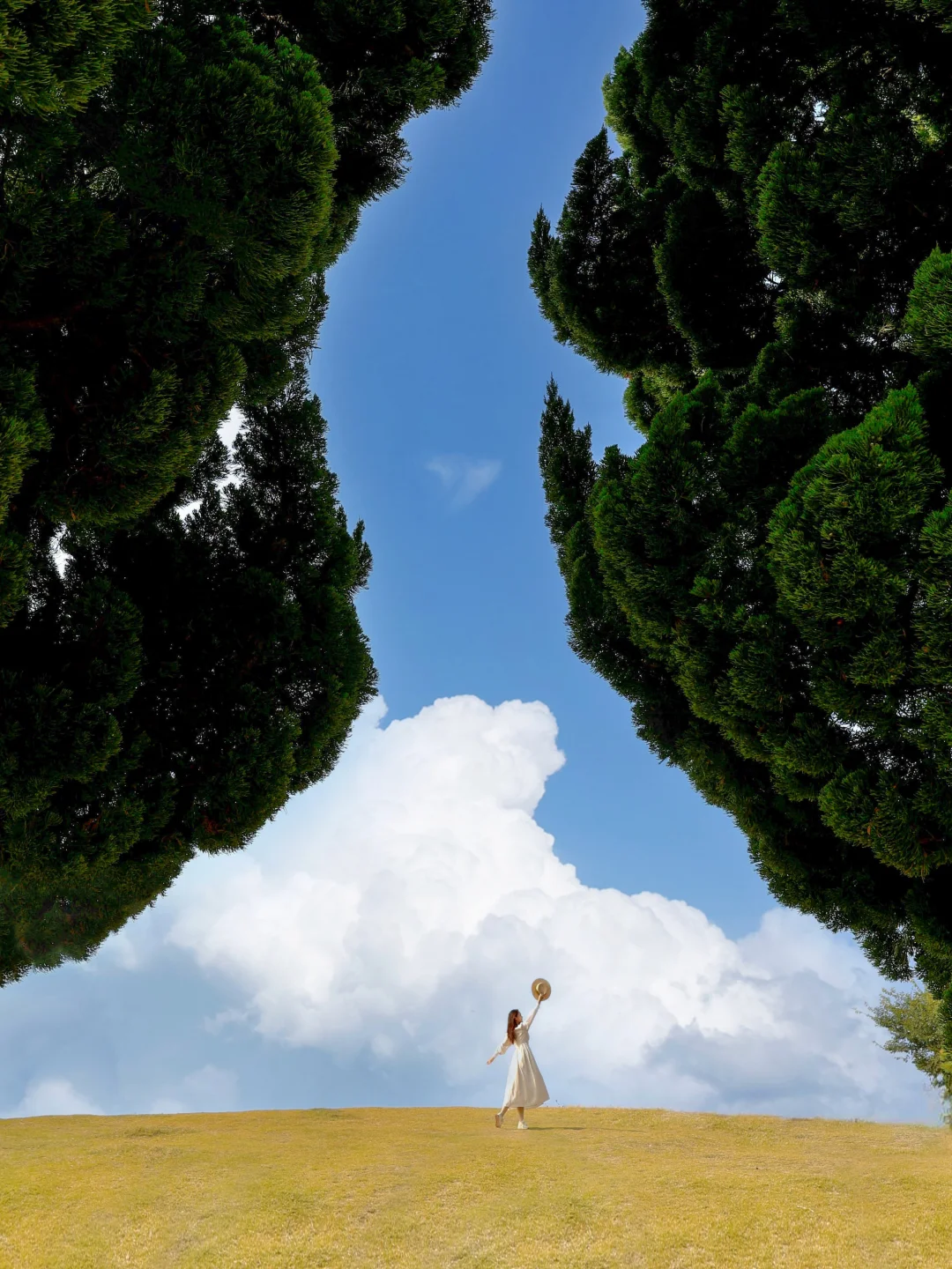 闭眼冲❗️淡季的青岛体验感直接封神……