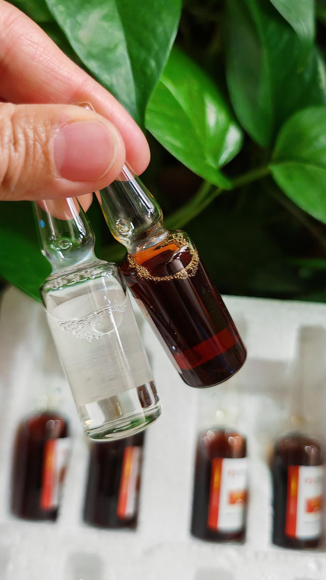 养羊人牛羊养殖农村养羊