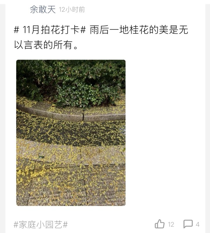 听说这几天, 杭州遍地是黄金