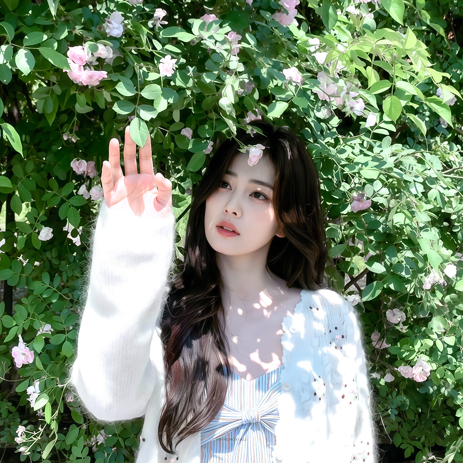 白鹿·亲爱的这世界在不停开花🌸🍃·明媚感头像壁纸更新～