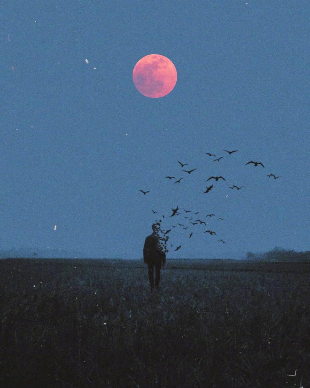 人不能十年如一日，让自己感到快乐的内容，从未被改变过。真实的成长，就去看看自己的