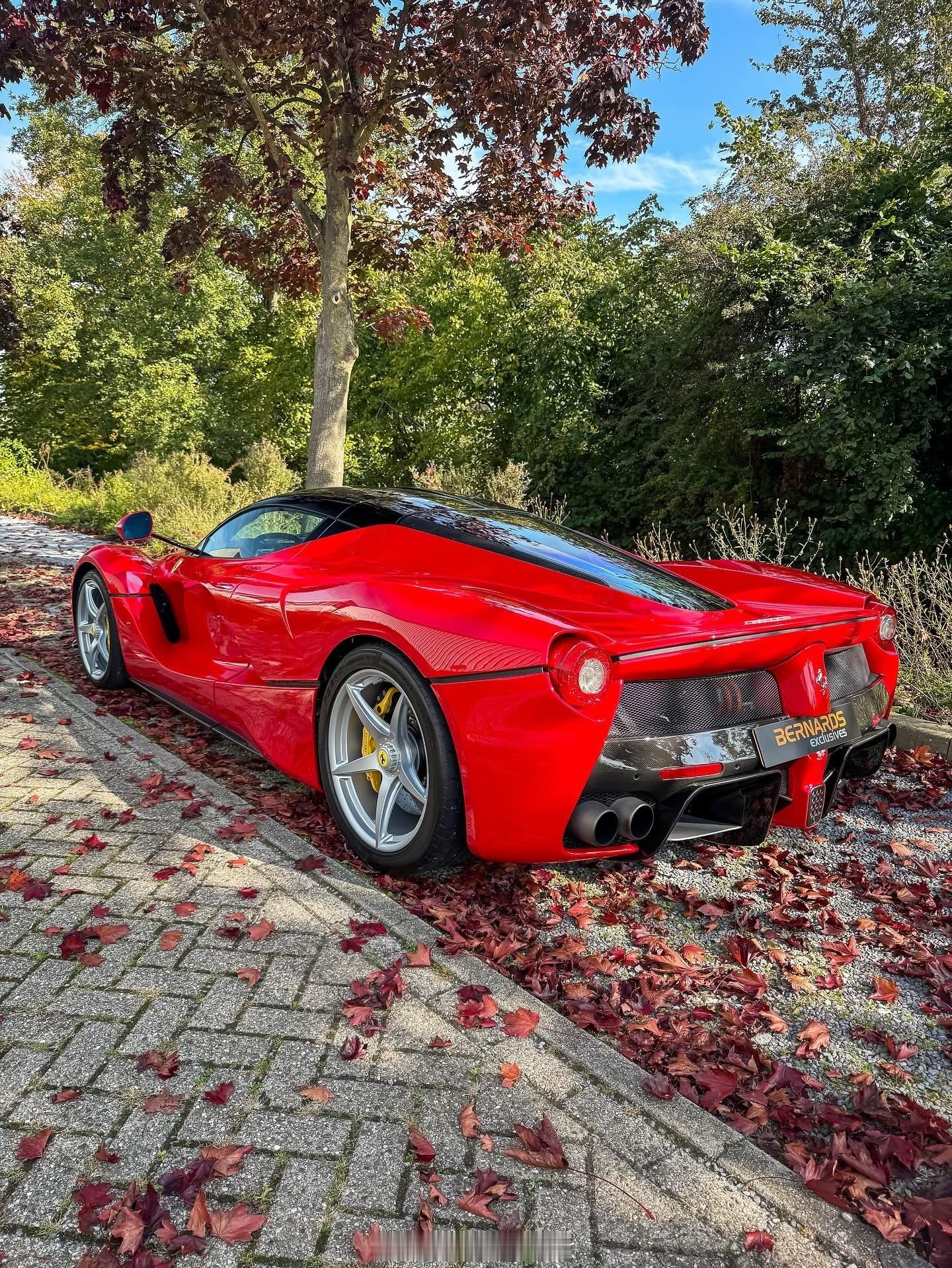 🍁🍁🍁秋天来了🍁🍁🍁红色至尊经典[爱心][爱心][爱心]🚗🚗🚗
