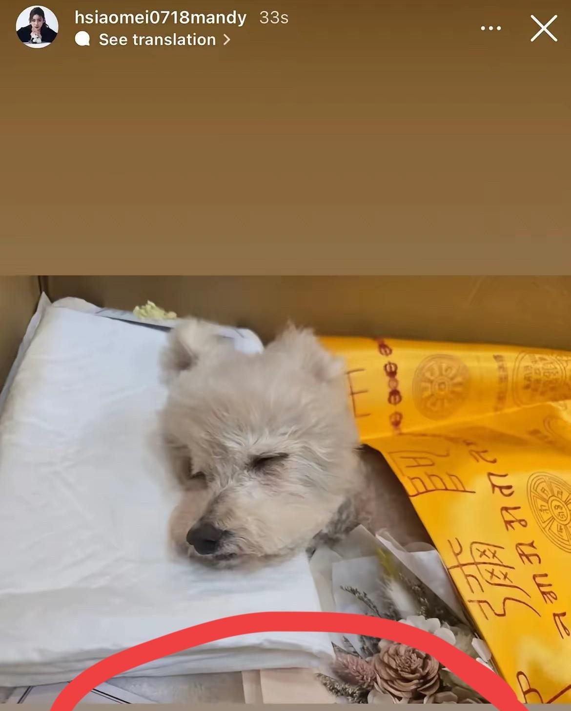 有些粉粉们也太敏感了吧？！马筱梅只是凑巧在“阿宝”走了之后发文纪念了一下，又被