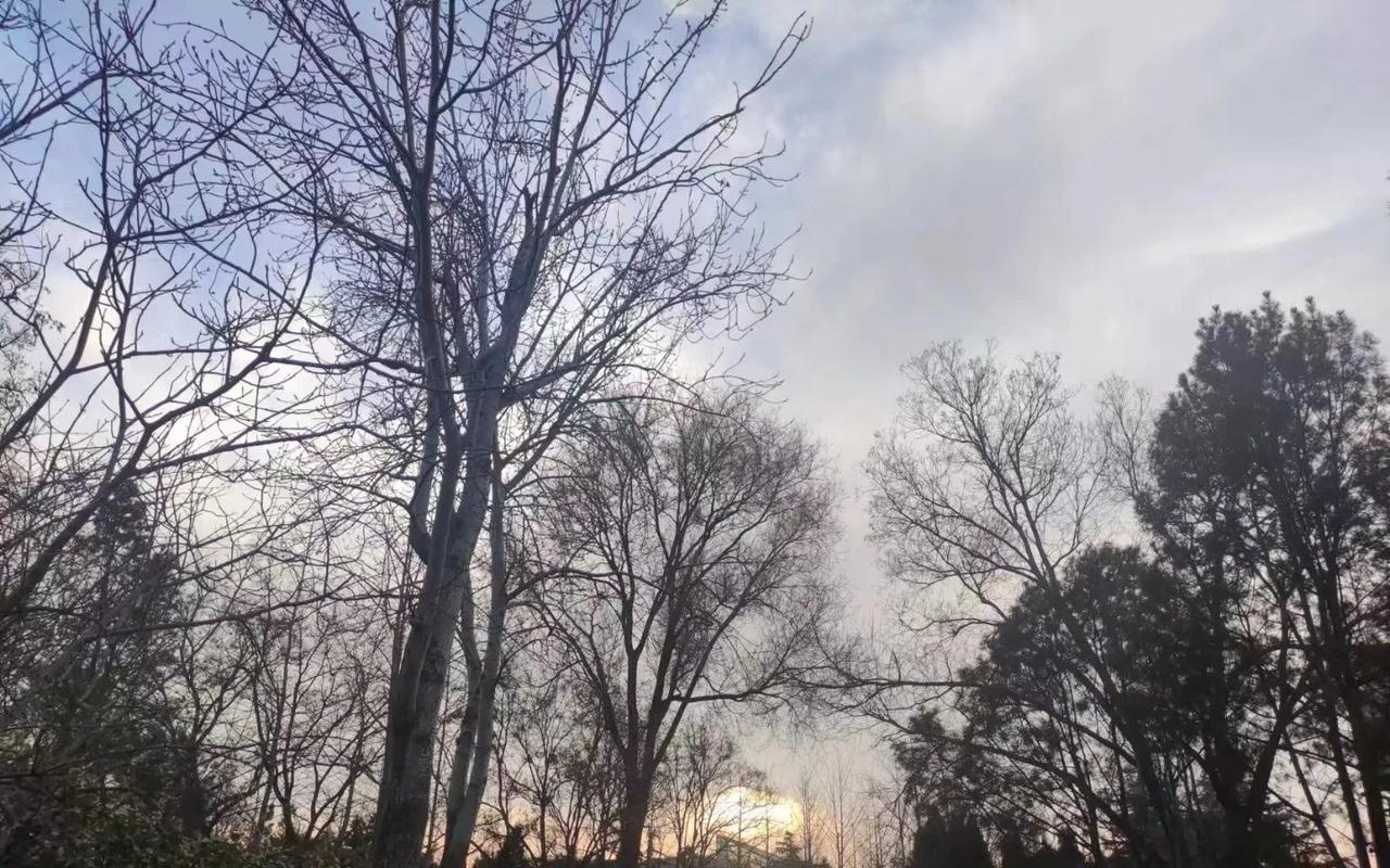 越来越多退休阿姨，悄悄“隐身”了不扎堆聊天，不晒日常，不参加没必要的饭