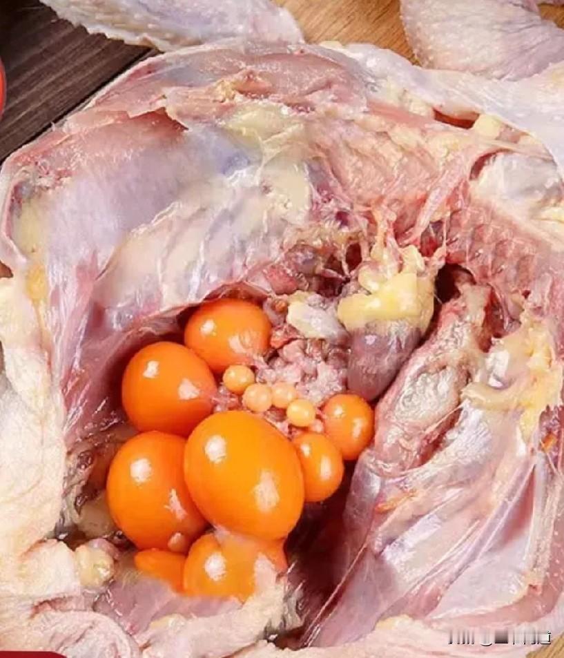 83.3元三只包邮的母鸡是什么鸡？董宇辉你让你家人吃这样的鸡，良心不会痛吗？先