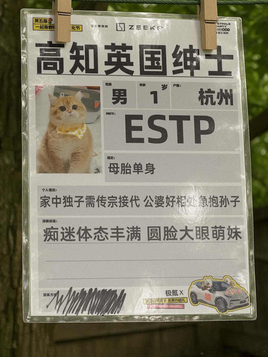 养宠物会替你解决相亲的烦恼没想到宠物对相亲作用这么妙！相亲时凭借可爱行为吸引目