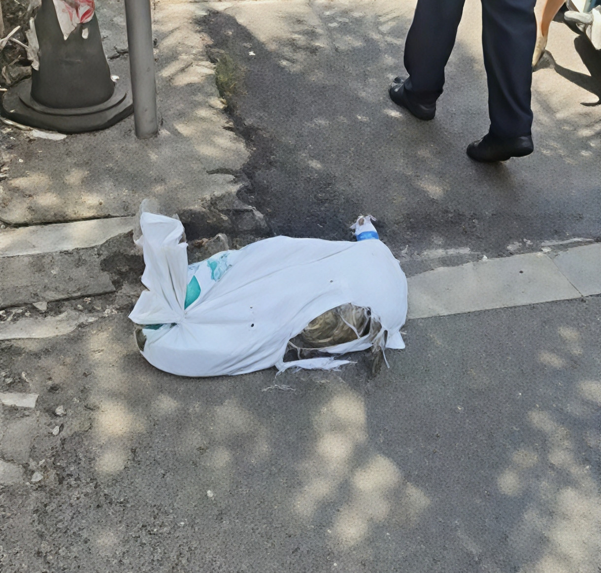 跑腿送鳄鱼半道“复活”！骑手吓出一身汗，平台商家谁的锅？9月4号，骑手关先生接