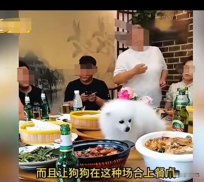 男子居然将宠物狗放在聚餐的餐桌上，同桌其他人面露不悦！广东网友留言说，狗主人没