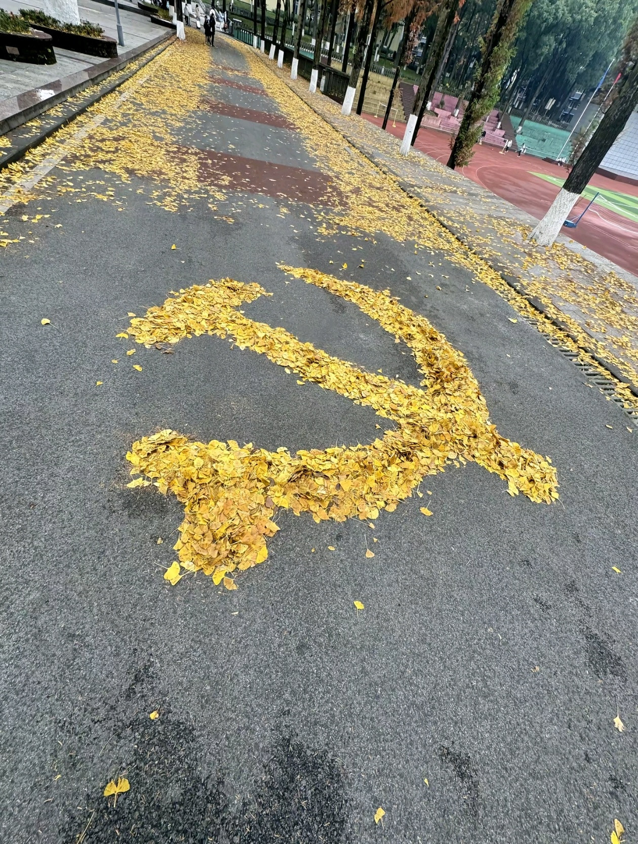 晚安中国🇨🇳