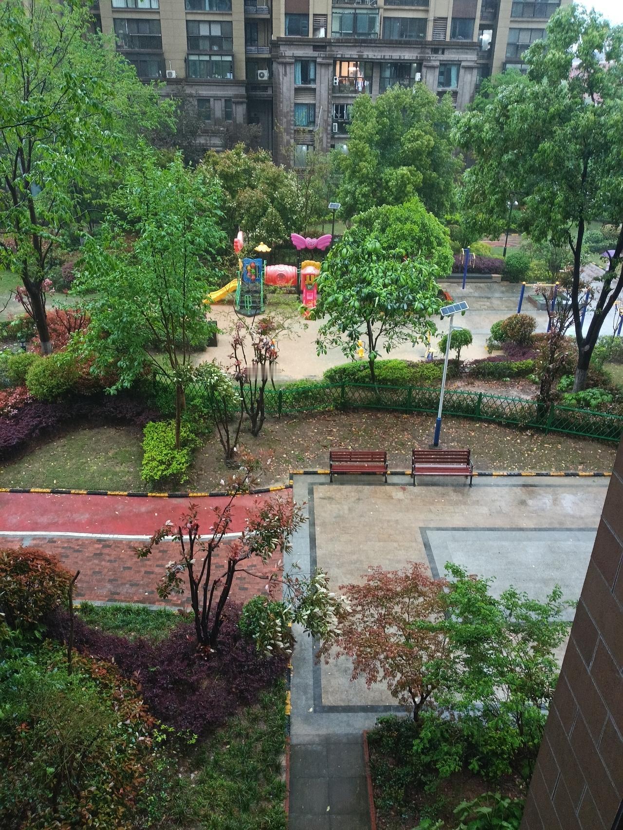 湖北大暴雨，小区无人出行，各个部位置，都被水淹。春雨贵如油！