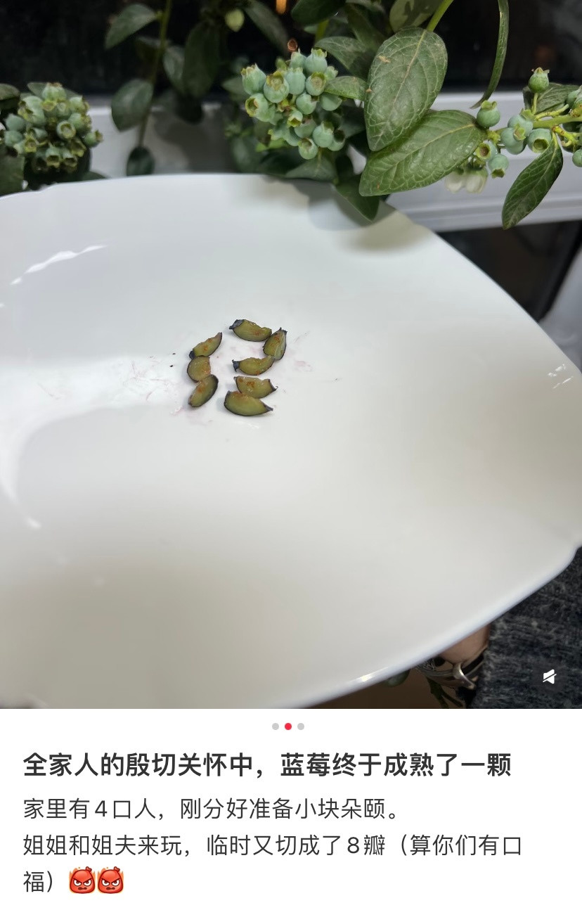 一种很新的种瓜得瓜种豆得豆