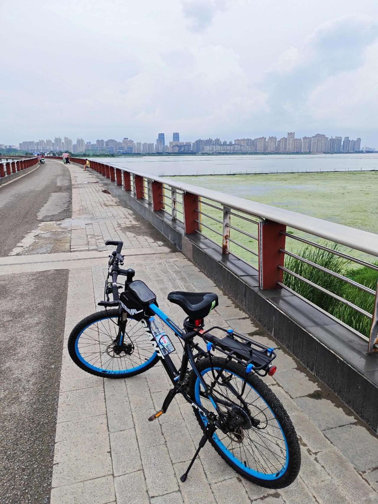 骑行🚴随拍🎥环湖自行车户外骑行记录低碳出行风与自由，都在路上