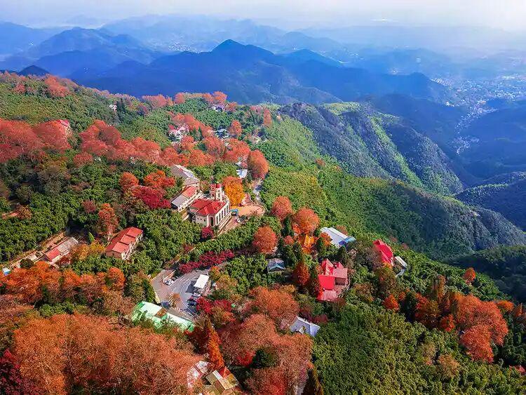 江浙沪的小伙伴注意了！这个省份秋色美翻了！谁说冬天到了就要和秋天告别？浙江直接