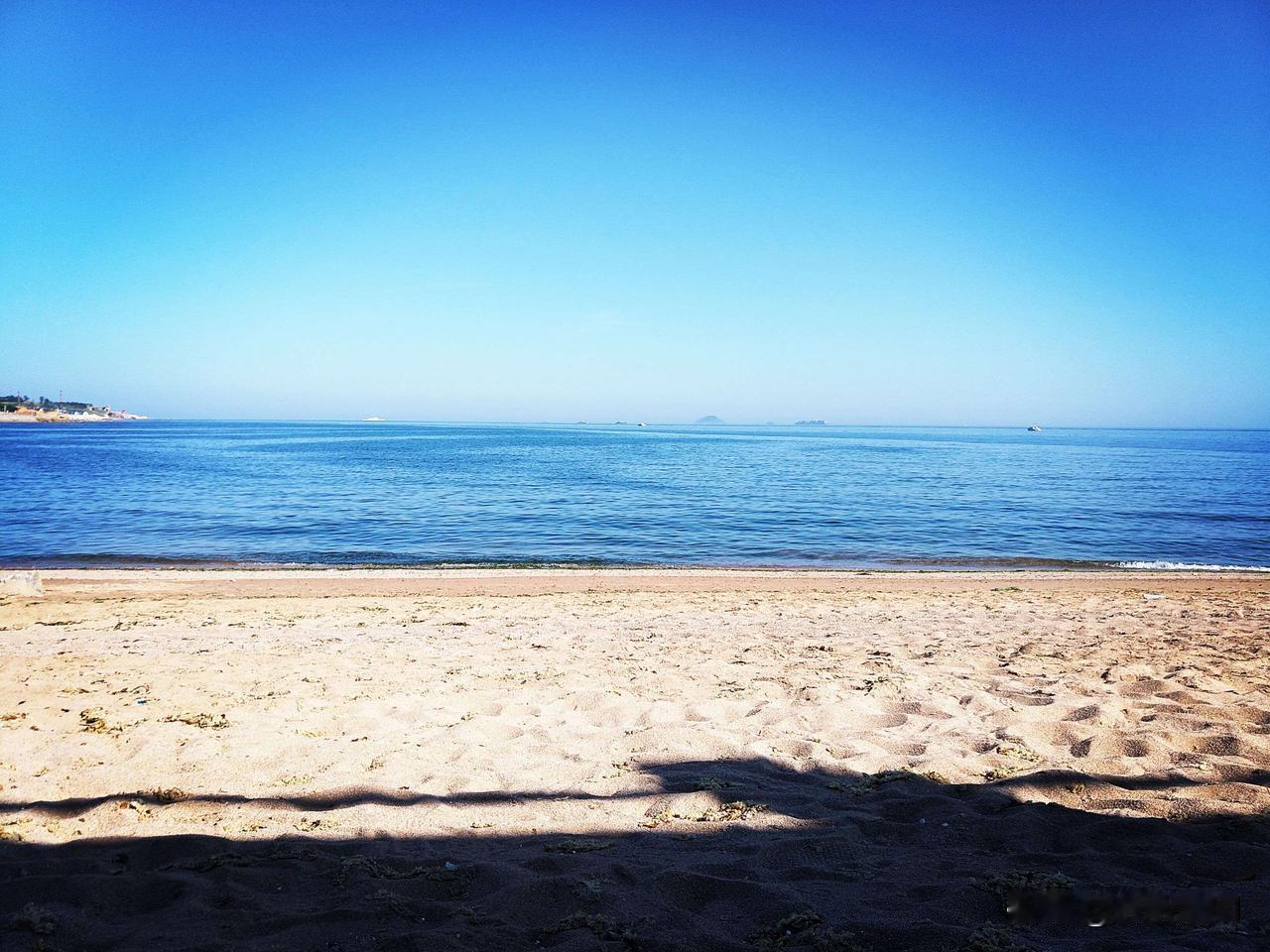 为蒋万安双城论坛表现点赞！老实讲，着实被深深震撼！他既没拿稿子，也不用提词器，