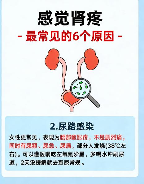 肾疼怎么回事？6个常见原因自查！