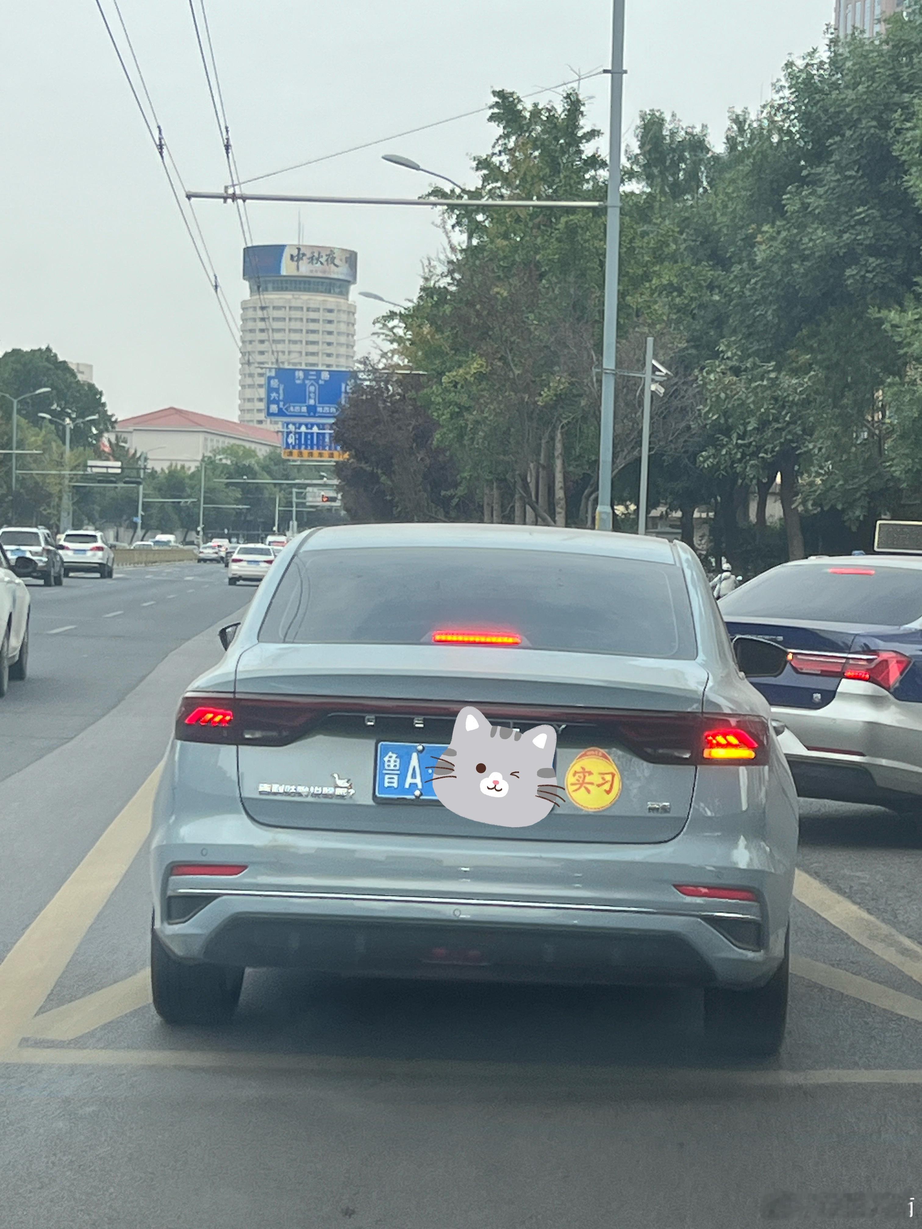 发现一个有趣的车主吉利：吉利咕噜说啥呢​​​