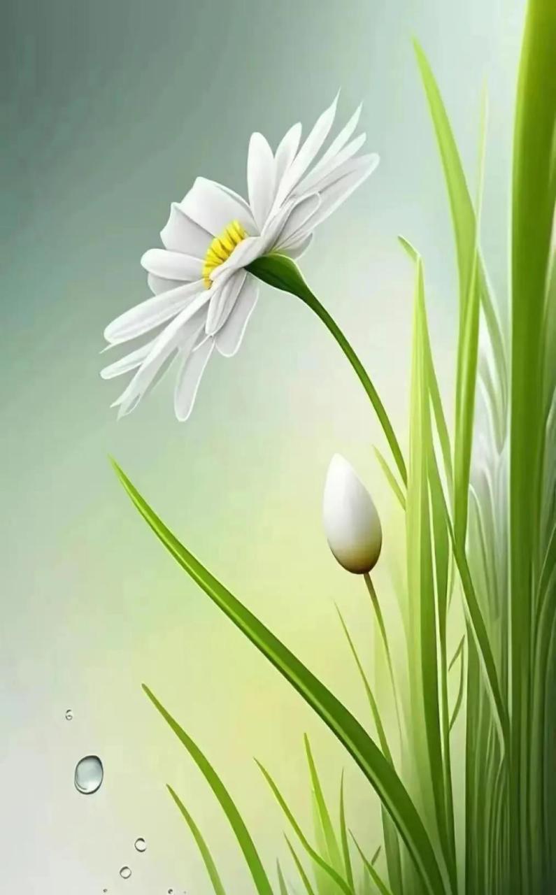 你有没有留意到，身边不少退了休的女性，日子过得安静又规律——出门无非是买菜