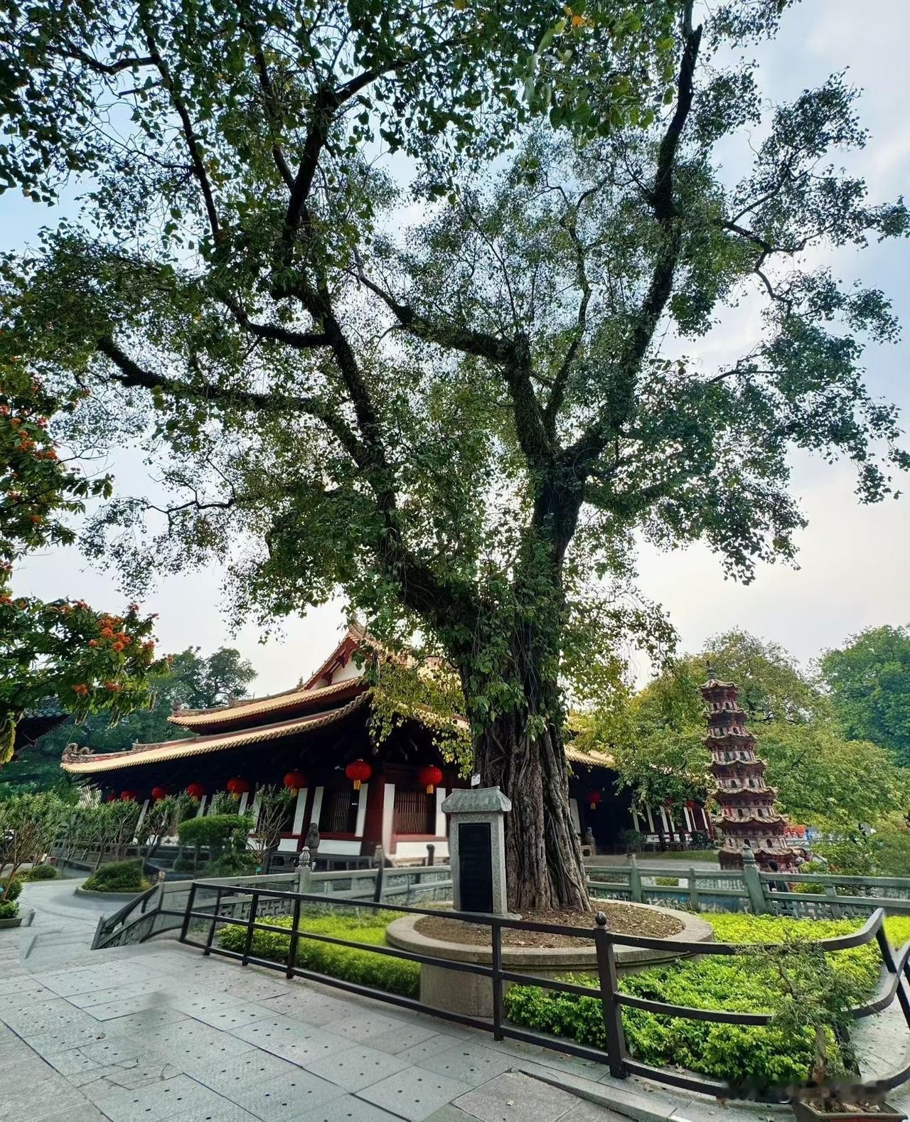 一段非常现实的话：“和穷人打交道，要接受他们的占便宜、献媚、讨好、算计、认知低