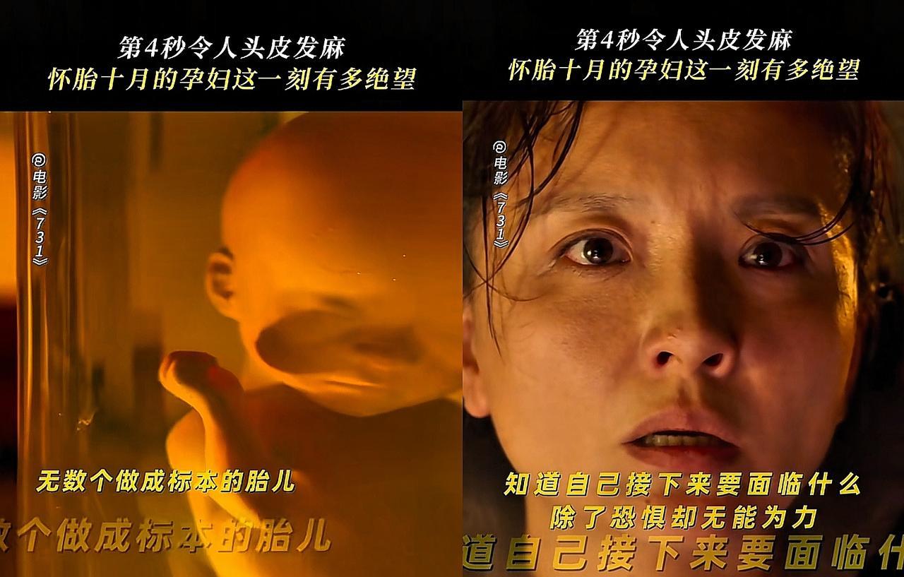 看完《731》之后我彻底绷不住了！不是因为太残酷了，而是导演怎么可以把一部