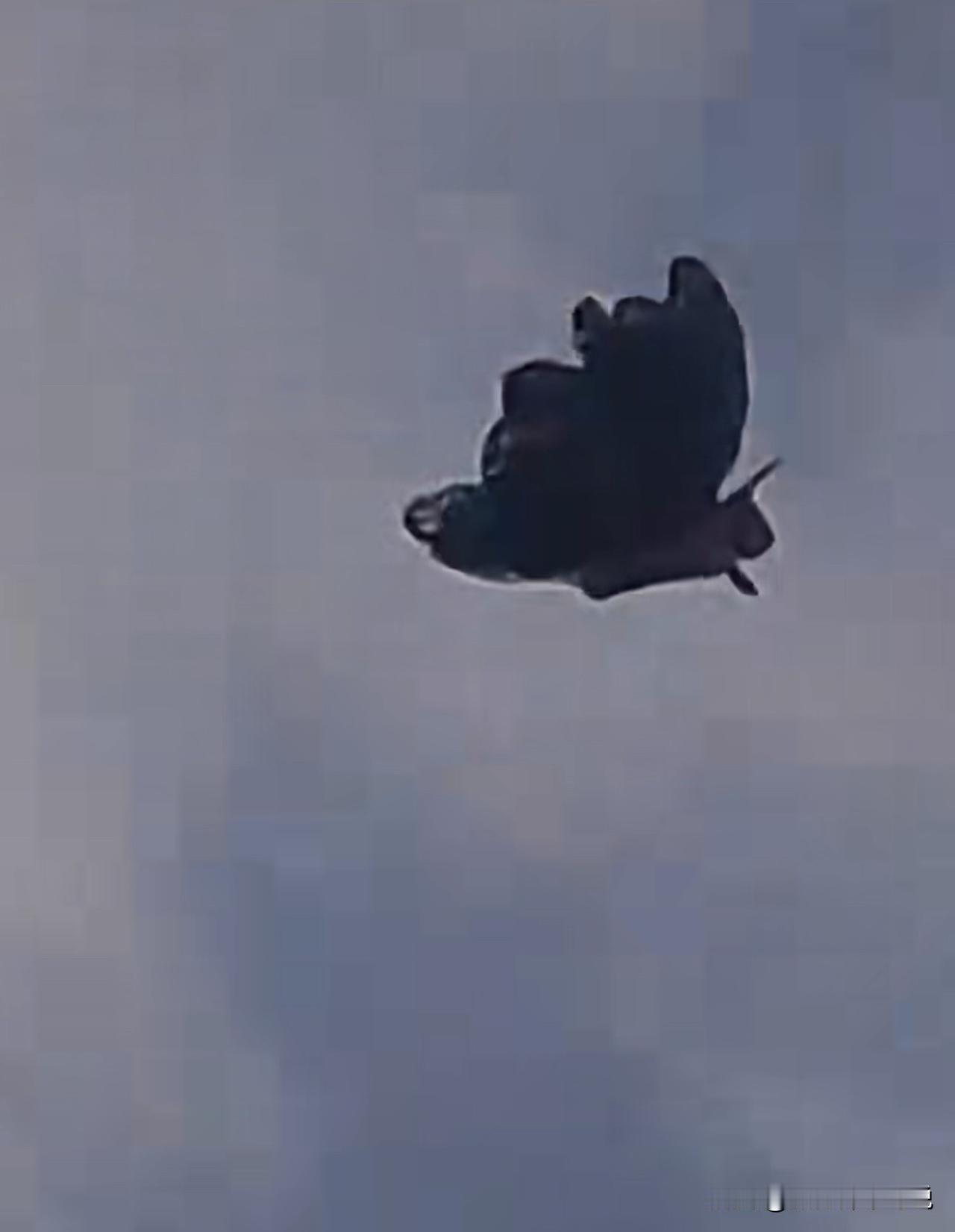 这个蝴蝶形状的不明飞行物是什么鬼，难道是什么蝴蝶侠？最近有网友在内蒙古包头禁飞区