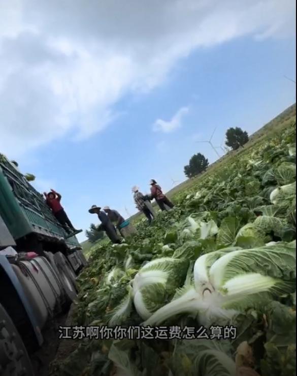 【甲醛白菜已至少毒了餐桌14年】今天，8月22日，博主@渔猎齐哥发布了视频：