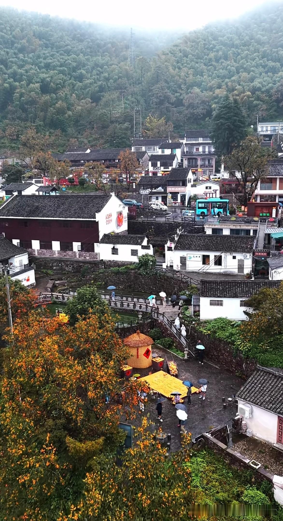 看了这几张图片，我的第一反应是：宁波居然也有这么“江南水乡”的地方。柿子红了，现