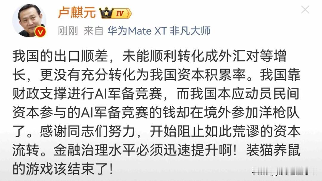 卢麒元怒批资本外流：自家AI军备竞赛的钱跑去境外当洋枪队卢麒元6月2日喊话