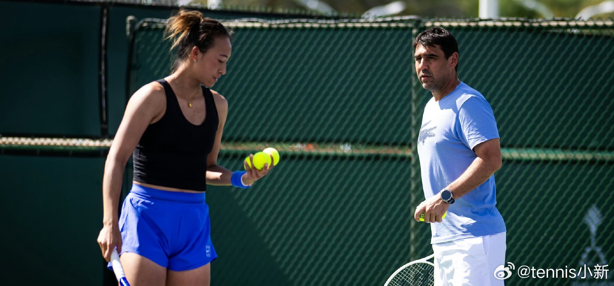 斯图加特赛单打入围名单！。排名last.in钦文1、萨巴伦卡2、莱巴金娜3、斯瓦