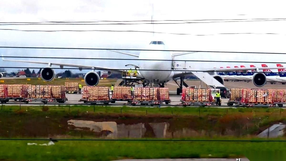 深夜，塞尔维亚的机场，一架以色列的波音747悄悄降落。它不是来拉游客的。肚子