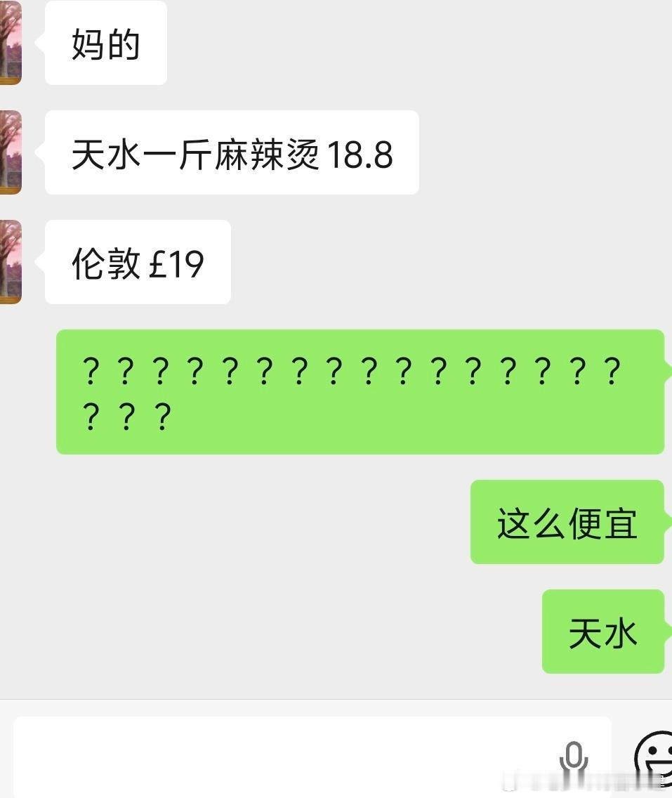 伦敦留子刚回国旅游，去天水吃麻辣烫，19块人民币一斤。伦敦市19英镑一斤。。差八
